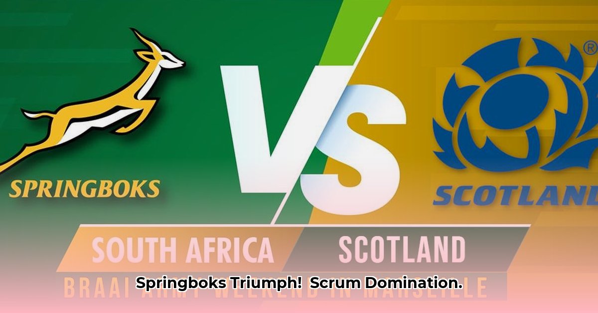 springboks-results-today